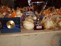 Cipolla paglina di Castrofilippo